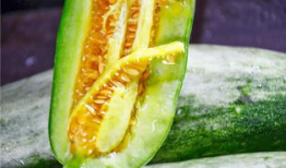 网红爆料吃瓜平台有哪些,盘点热门吃瓜平台大盘点